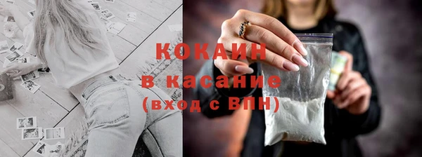 тгк Алзамай