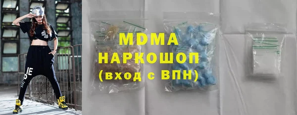 индика Туринск