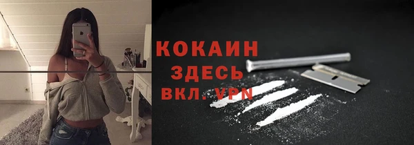 дживик Алексеевка