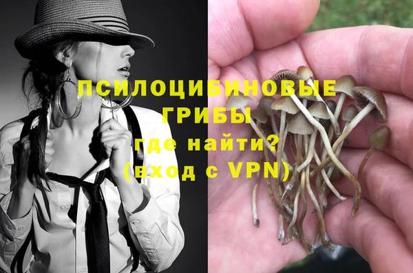 тгк Алзамай