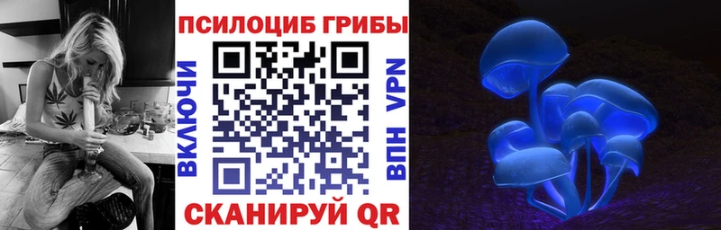Галлюциногенные грибы Cubensis  Новозыбков 