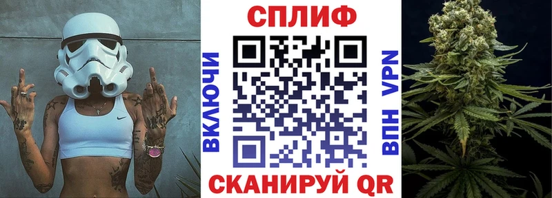 Шишки марихуана марихуана  shop официальный сайт  Новозыбков 